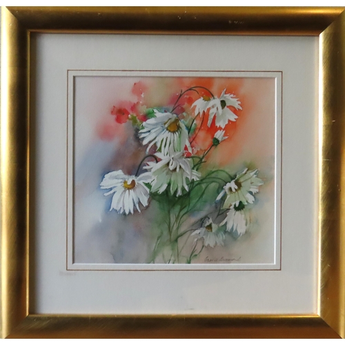 462 - CARRIE DIAMOND (b.1930) WATER COLOUR OF DAISIES, signed in lower right corner, glazed and framed30 x... 