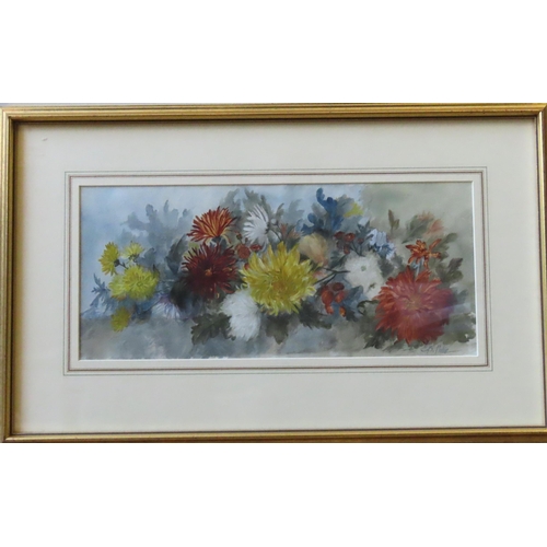 504 - CONSTANCE B. LAWSON (act. 1881-1905) WATER COLOUR OF CRYSANTHEMUMS, signed (nee Philip) in lower rig... 