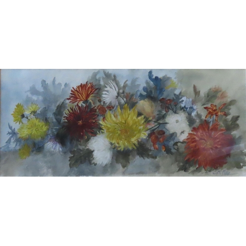 504 - CONSTANCE B. LAWSON (act. 1881-1905) WATER COLOUR OF CRYSANTHEMUMS, signed (nee Philip) in lower rig... 