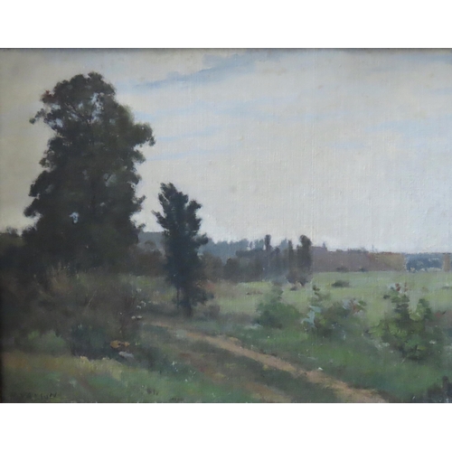 531 - PAUL VAYSON (1841-1911) RURAL SCENE OIL ON CANVAS, depicting a farm track in the foreground, with wo... 