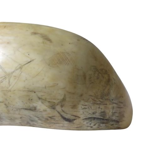 714 - A GOOD SCRIMSHAW LARGE SPERM WHALE TOOTH, finely engraved with a three masted whaler attendant with ... 