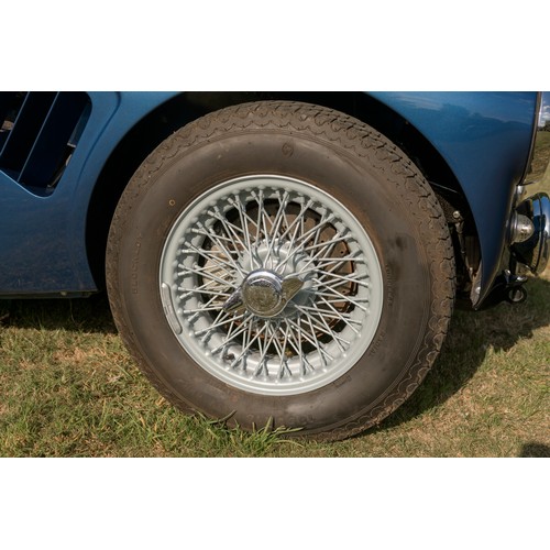 315 - 1960 Austin Healey 3000 Fast Road by John Chatham Cars                                        Regist... 