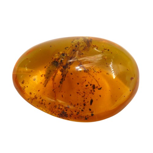 351 - AN OVAL FORM AMBER PENDANT, with fossilized insect contained within35 x 25 mm