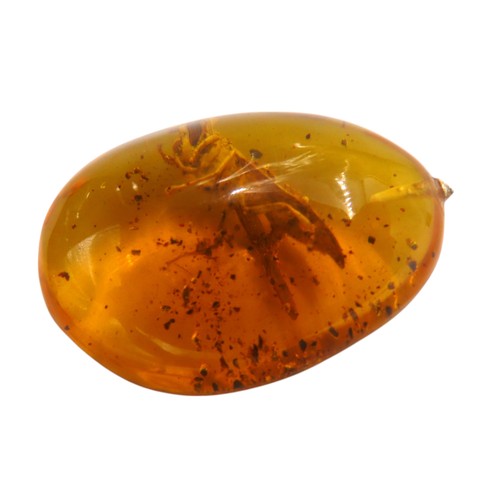 351 - AN OVAL FORM AMBER PENDANT, with fossilized insect contained within35 x 25 mm