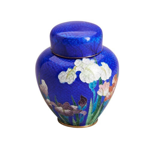 12 - A SMALL JAPANESE GINBARI JAR AND COVERMEIJI PERIOD (1868-1912)the sides decorated with iris's, again... 