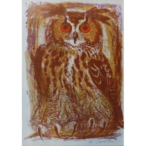 424 - DAVID KOSTER (1926-2014) 'OWL' LIMITED PRINT, numbered 22/75, signed in lower right corner74 x 52 cm... 