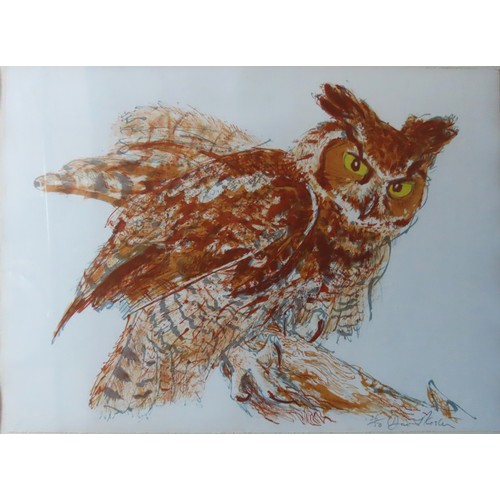 425 - DAVID KOSTER (1926-2014) 'LONG EARED OWL' LIMITED PRINT, numbered 36/50, signed in lower right corne... 