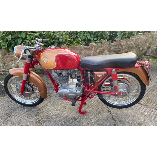 59 - 1961 Ducati 175TS Registration Number: 130 XVCFrame Number: MD 53622MD- Restored, matching engine/fr... 