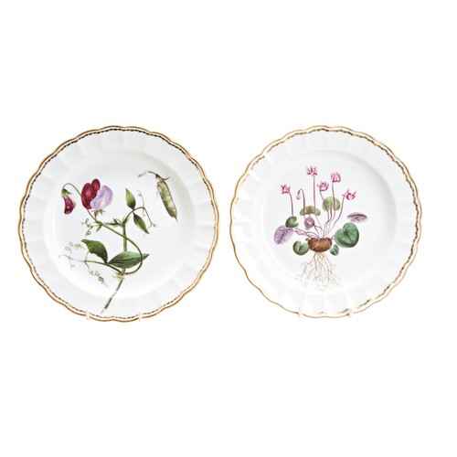 488 - A RARE PAIR OF DERBY PORCELAIN BOTANICAL DISHESCIRCA 1790both identified verso, crowned blue crossed... 