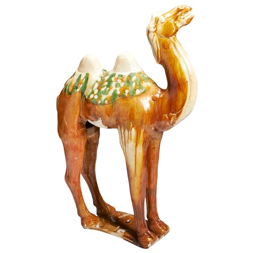 155 - A LARGE SANCAI-GLAZED POTTERY BACTRIAN CAMELTANG DYNASTY (618-907)三彩骆驼 唐 618-907modelled standing fo... 
