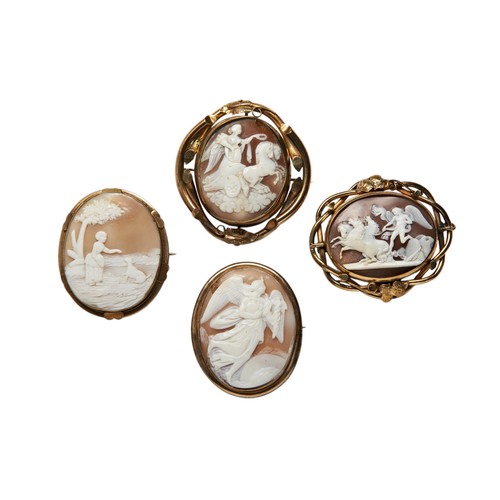 Lot 239       