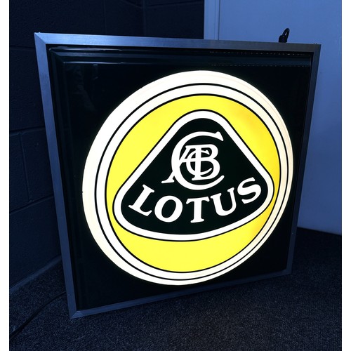 Lot 56        