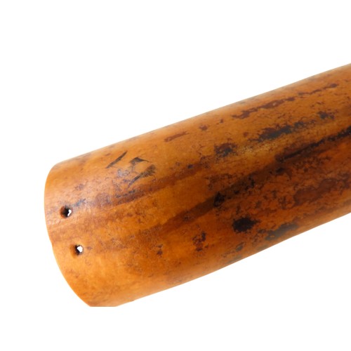 A SEPIK PHALLOCRYPT, PAPUA NEW GUINEA, fashioned from a gourd, with ...