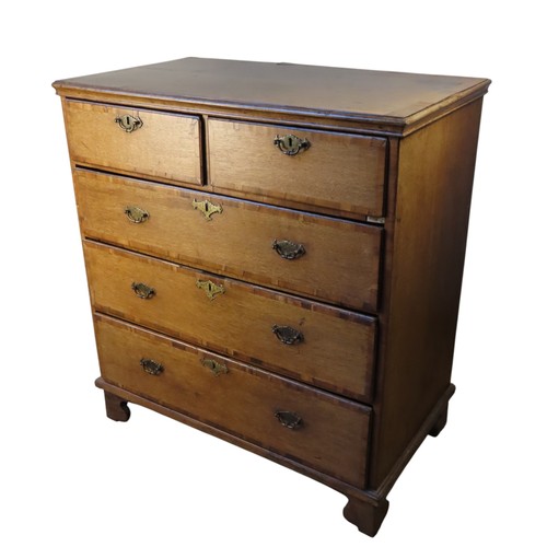 Lot 29        