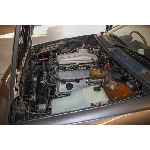 219 - 1981 Alfa Romeo GTV6      Registration Number: RPE 334XChassis Number: ZAR116C0003001314Recorded Mil... 