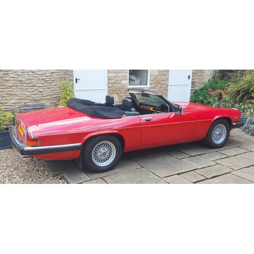 217 - 1989 Jaguar XJ-S ConvertibleRegistration Number: TBAChassis Number: SAJJNADW3DB157657Recorded Mileag... 