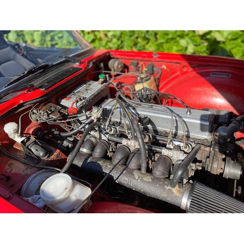 203 - 1974 Triumph TR6                                                            Registration Number: UPJ... 