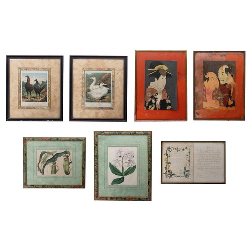 Lot 30        
