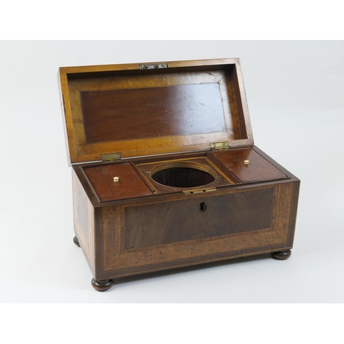 438 - Late Georgian mahogany and birds eye maple tea caddy, circa 1830, with a broad band of maple crossba... 