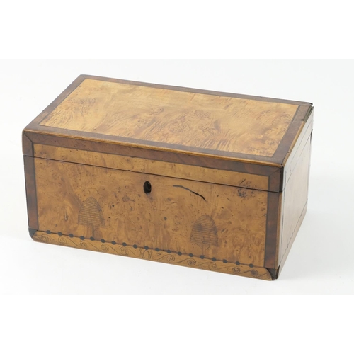 439 - Beekeeping interest: Late Georgian satin birch and walnut tea caddy, circa 1820, detailed to the fro... 