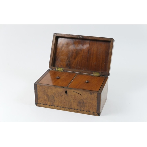 439 - Beekeeping interest: Late Georgian satin birch and walnut tea caddy, circa 1820, detailed to the fro... 