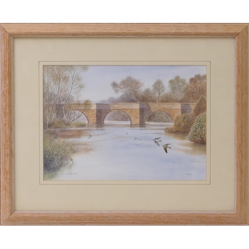 491 - Philip Snow (Contemporary), 'Sand martins, River Dee, Holt and Farndon', signed and titled watercolo... 