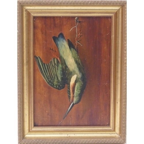 531 - Manner of Michaelangelo Meucci (1840-1909), Still life of a kingfisher, oil on panel, signed with a ... 