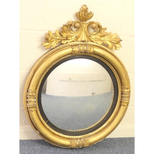 741 - William IV convex wall mirror, circa 1830, having a carved giltwood acanthus crest bordered with cap... 