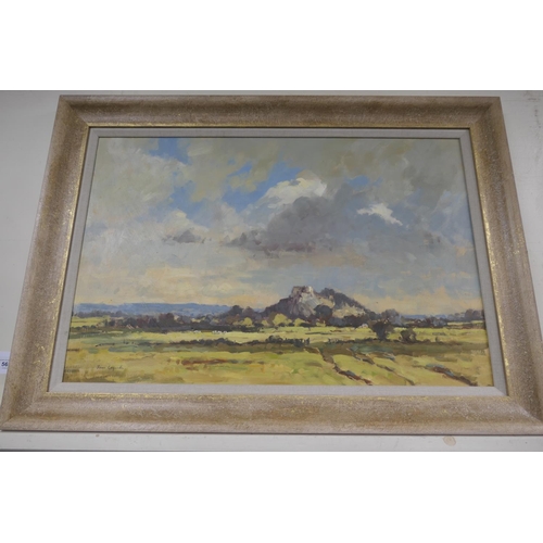 563 - James Longueville (b.1942), Beeston Castle, Summer, oil on board, signed, 50cm x 76cm