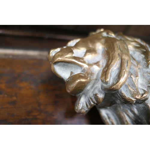 654 - After Barye, a polished bronze sculpture of a lion, the base bearing a signature, height 26cm, lengt... 