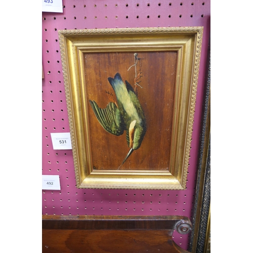 531 - Manner of Michaelangelo Meucci (1840-1909), Still life of a kingfisher, oil on panel, signed with a ... 