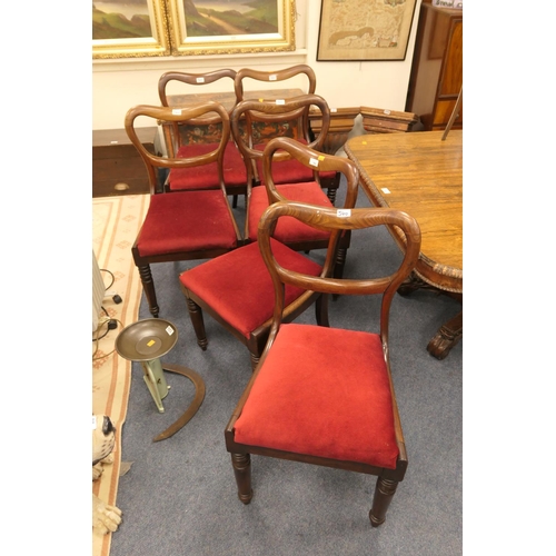 560 - Six Victorian mahogany kidney-backed dining chairs