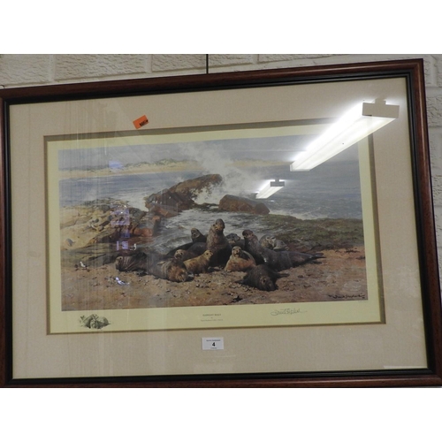 4 - Limited edition David Shepherd print 'Elephant Seals', signed in pencil by the artist, framed