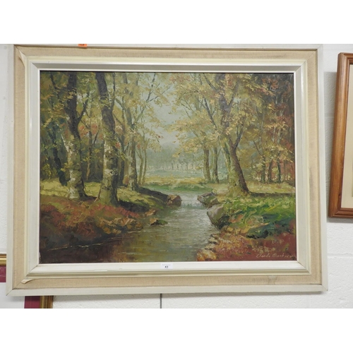 43 - Framed oil painting of a woodland stream, indistinctly signed