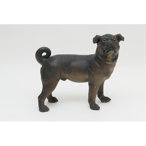 18 - Austrian painted terracotta model of a pug dog, circa 1900, with glass eyes, length 36cm, height 31c... 