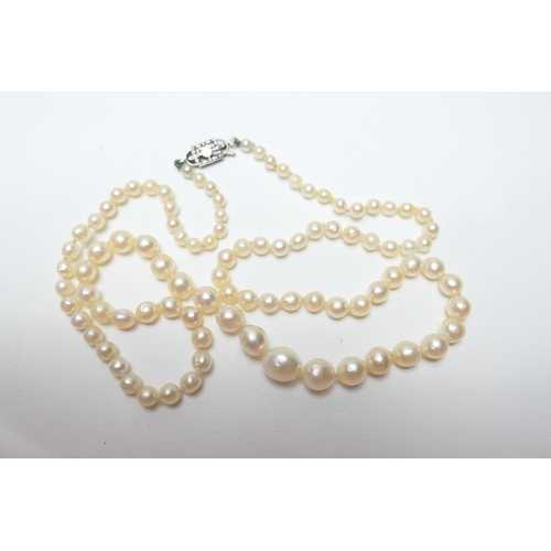 513 - Cultured pearl necklace of graduated pearls, the largest being 7mm diameter, the smallest 2mm, unite... 