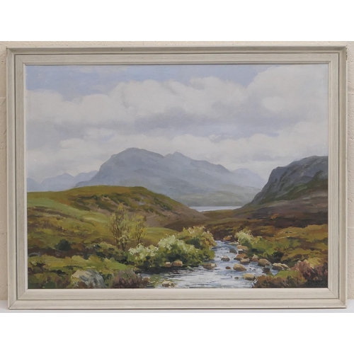 541 - Robert Egginton (b. 1943), Loch Maree, near Poolewe, signed oil on board, 38cm x 50cm