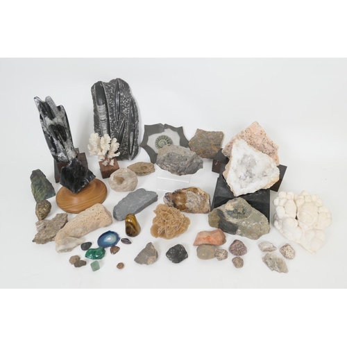 645 - Collection of mixed fossils and geological rock and mineral samples including orthoceras fossils, am... 