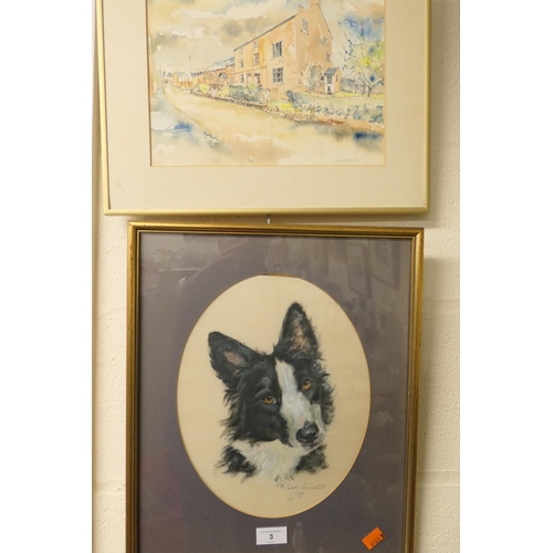 3 - Portrait of a border collie, signed and dated 1978, gouache painted on silk; also a framed watercolo... 