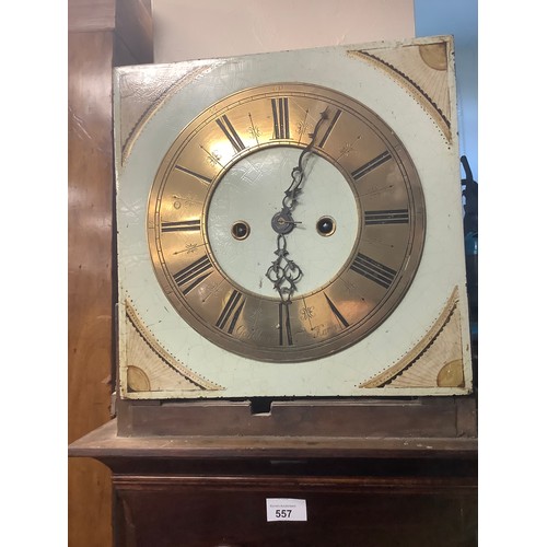 557 - Irish mahogany eight day long case clock painted dial with brass chapter ring signed George Joyce an... 