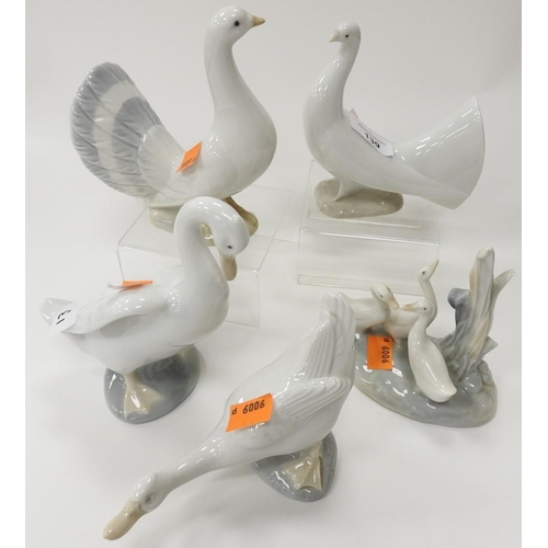 139 - Three Nao geese figures, also a Nao dove and another dove figure (5)