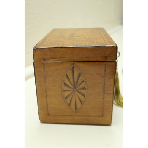 440 - George III satinwood and inlaid tea caddy, circa 1790-1800, with shell inlays in boxwood and harewoo... 