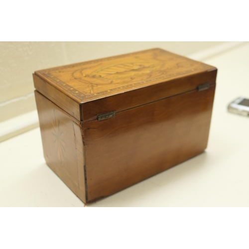 440 - George III satinwood and inlaid tea caddy, circa 1790-1800, with shell inlays in boxwood and harewoo... 