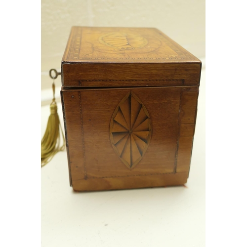 440 - George III satinwood and inlaid tea caddy, circa 1790-1800, with shell inlays in boxwood and harewoo... 