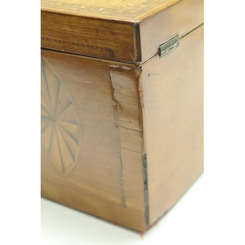 440 - George III satinwood and inlaid tea caddy, circa 1790-1800, with shell inlays in boxwood and harewoo... 