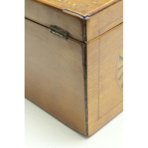 440 - George III satinwood and inlaid tea caddy, circa 1790-1800, with shell inlays in boxwood and harewoo... 