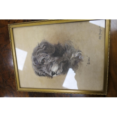 349 - Alfred Grenfell Haigh (1870-1963), Portrait of Siki (pet dog), watercolour, signed and dated 1936, 2... 