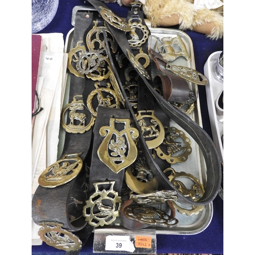 39 - Collection of horse brasses presented on leather straps