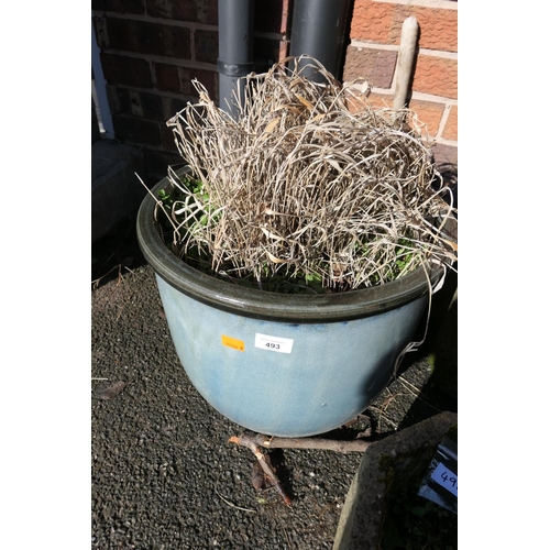 493 - Sage green glazed jardiniere with potted grasses