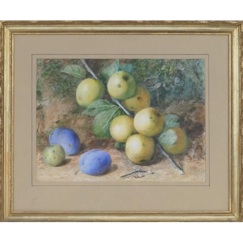 420 - Charles Henry Slater (circa 1820-90), Still life study 'Windfall', crab apples and plums, watercolou... 